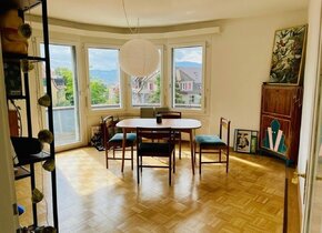 3 ½ room apartment near Bucheggplatz