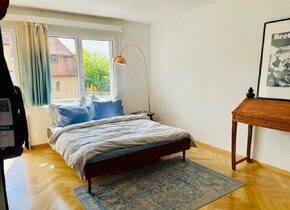 3 ½ room apartment near Bucheggplatz