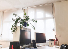 Grosser Büroplatz in Bürogemeinschaft beim St.Johannspark