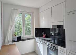 2 Zimmer-Wohnung in Wipkingen