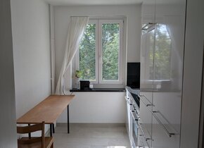 2 Zimmer-Wohnung in Wipkingen