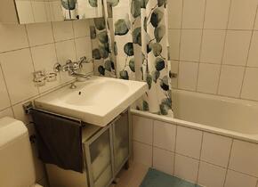 Temorary sublet in Wiedikon: furnished 2-room appartment...