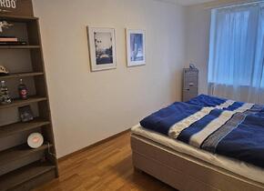 Untermiete: Schöne und zentrale 3,5-Zimmer Wohnung