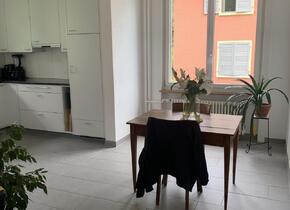 3.5 Zimmer Wohnung nahe Rosengarten