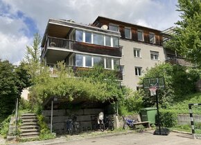 Helle möbl. 3-4 Zi-Wohnung in Zürich Höngg ab Februar...