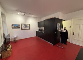 Wunderschönes Büro/Ladenlokal in der Nähe vom Zürich HB