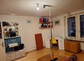 3-Zimmer Wohnung in Zürich Wipkingen