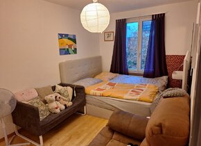 3-Zimmer Wohnung in Zürich Wipkingen