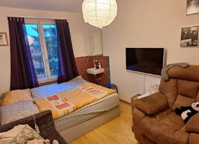 3.5-Zimmer Wohnung in Zürich Wipkingen