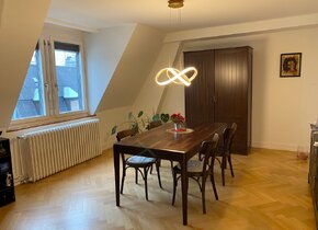 Subtenant for my furnished 77sqm apartment in Wiedikon