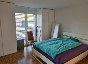 Wohnung mit Limmatblick zu vermieten - 1 Monat vom...