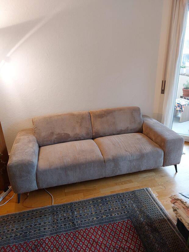 Sofa Masse: 225 x 100 x 80 für 350 Fr