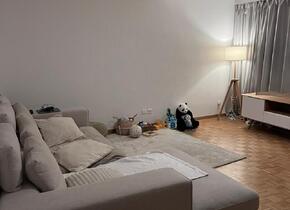 Attraktive 4.5 Zimmer Wohnung mit Garten und Terrasse