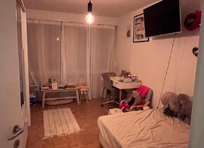 Attraktive 4.5 Zimmer Wohnung mit Garten und Terrasse