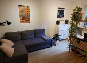 3.5-Zimmer-Wohnung zur Untermiete, Anfang Februar bis...