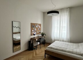 Schönes WG-Zimmer im Mattenhofquartier