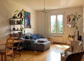 Schönes WG-Zimmer im Mattenhofquartier