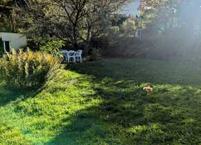 3,5 Zimmer Wohnung mit wunderschönem Garten umgeben von...