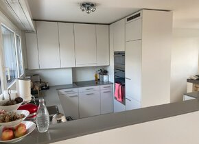 5.5 Zi-Maisonette-Wohnung in Witikon zur Untermiete (Jan-...