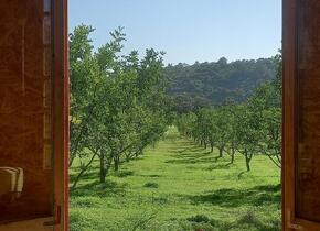 Tiny house in der Ost Algarve