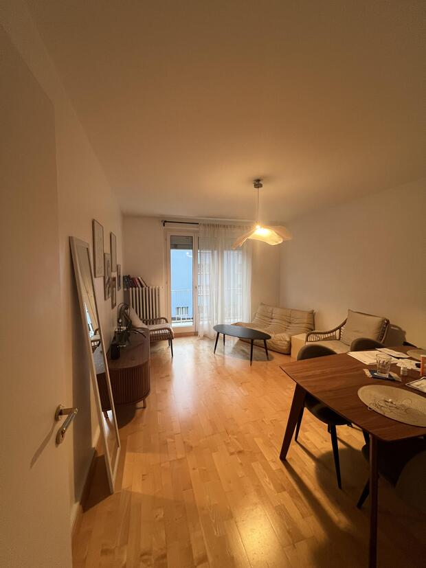 Furnished 3.5 room apartment near the city (limited from...