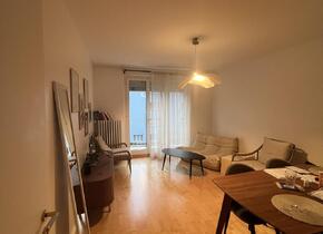 Furnished 3.5 room apartment near the city (limited from...