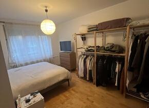 Furnished 3.5 room apartment near the city (limited from...