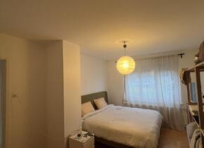 Furnished 3.5 room apartment near the city (limited from...