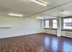 Gewerbefläche mieten: Althardstrasse 146, 8105...