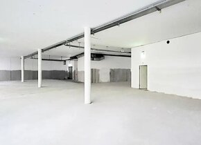 Louer Espace de vente: Albrecht-Haller-Strasse 9, 2502...