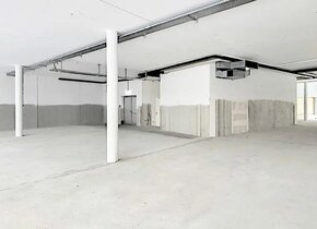 Louer Espace de vente: Albrecht-Haller-Strasse 9, 2502...