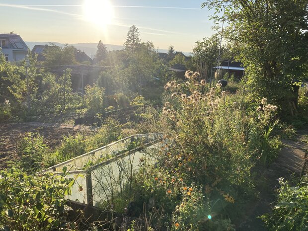 Mithilfe/Selbstverwirklichung in wunderschönem Schrebergarten im Kreis 6