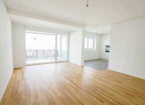 Schöne Wohnung im Tribschen-Quartier - 68m2