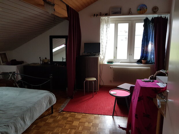 WG-Dachzimmer in Winterthur Eidberg ab 1.2.25