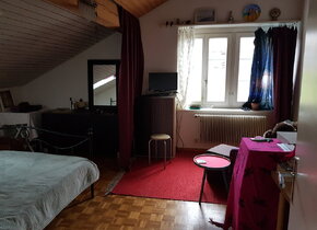 WG-Dachzimmer in Winterthur Eidberg ab 1.2.25