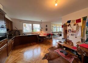 1.5 Zimmer Wohnung in ein Haus WG. 1500.- + NB