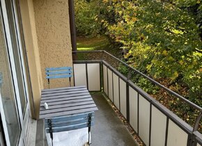 Subletting (longterm) a 3 ½ rooms apartment in Zürich....