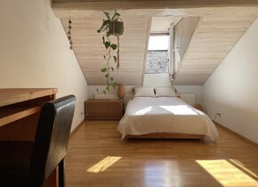 2.5 Zimmer Altstadt Maisonette Wohnung mit Dachterrasse...