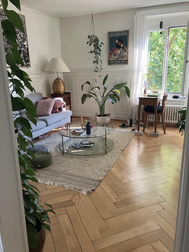 2.5 room apartment to sublet for 2 months (Dec-Jan)