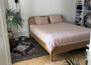 2.5 room apartment to sublet for 2 months (Dec-Jan)