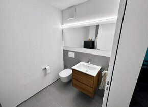 3.5 Zimmer Wohnung Zentrum Reinach BL