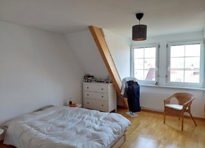 3.5-Zimmer-Wohnung zur Untermiete, März bis Ende August...