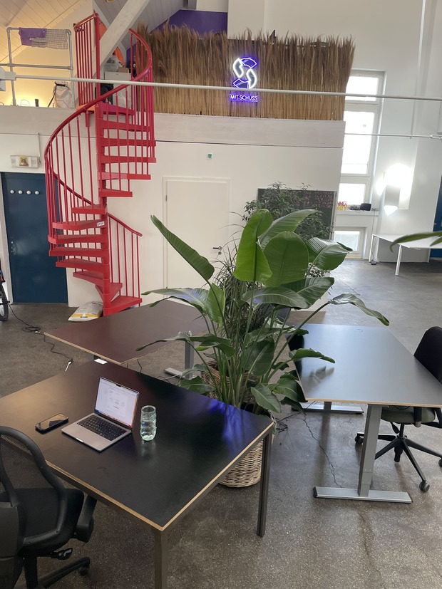 Arbeitsplätze in grünem openspace Office mit Sitzungszimmern, Bar und Fitness beim Bhf Hardbrücke