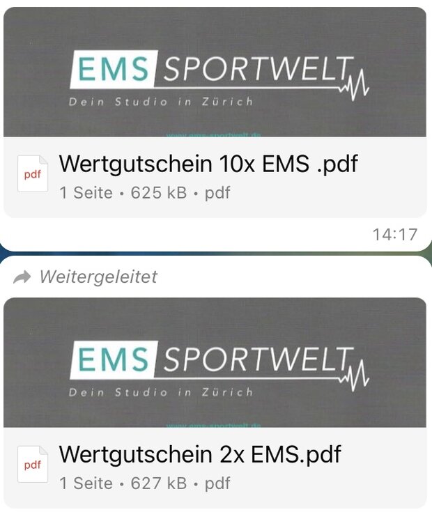 12 EMS TRAINIGS GUTSCHEINE