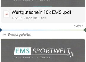 12 EMS TRAINIGS GUTSCHEINE