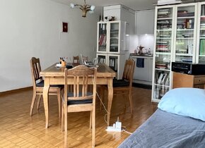 Quiet Studio in Zürich für rent -