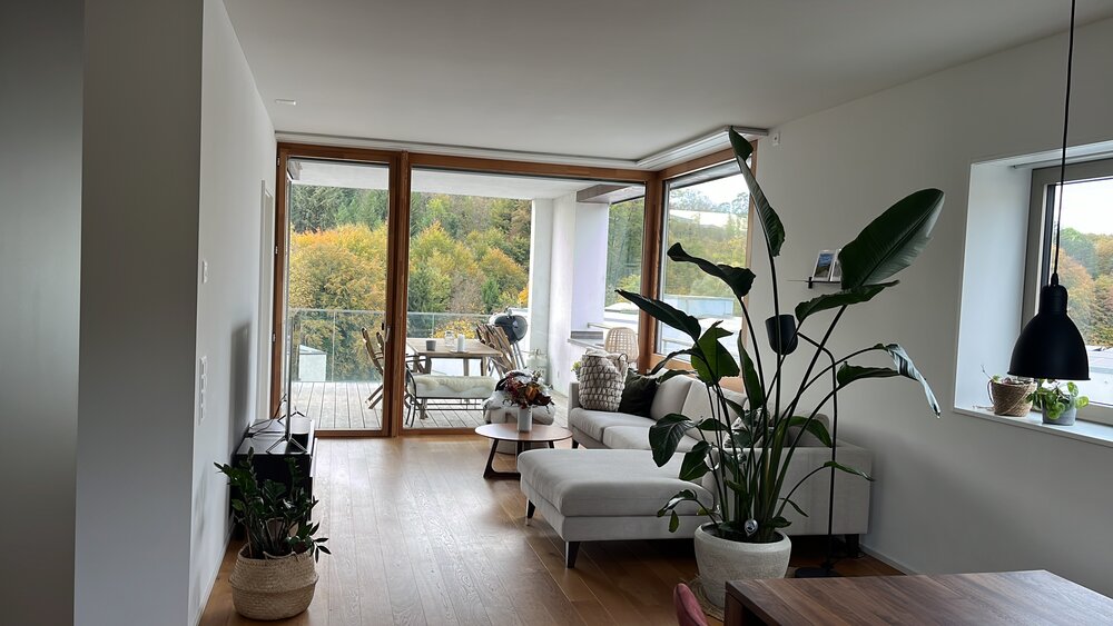 2.5 Room Appartment fully equipped next to the Aare river...