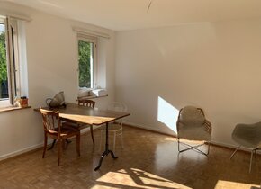 Wunderschöne 3 Zimmer Wohnung im Kreis 3