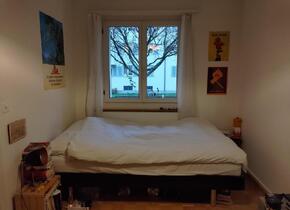 Wunderschöne 3 Zimmer Wohnung im Kreis 3