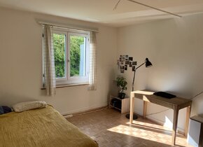 Wunderschöne 3 Zimmer Wohnung im Kreis 3